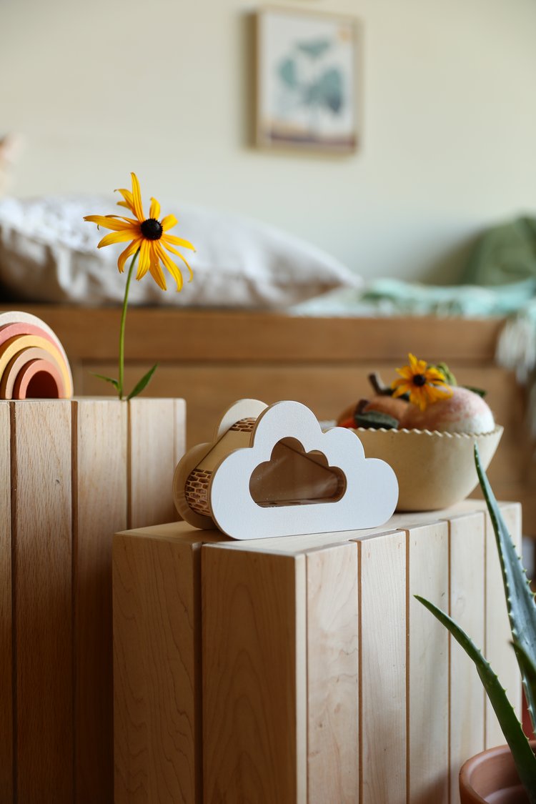 TIRELIRE NUAGE - Blanc