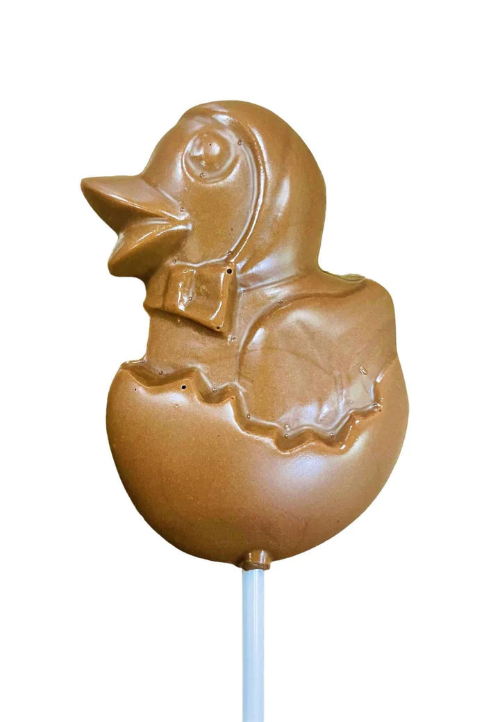 Suçon en chocolat de Pâques - canard dans son d’œufs