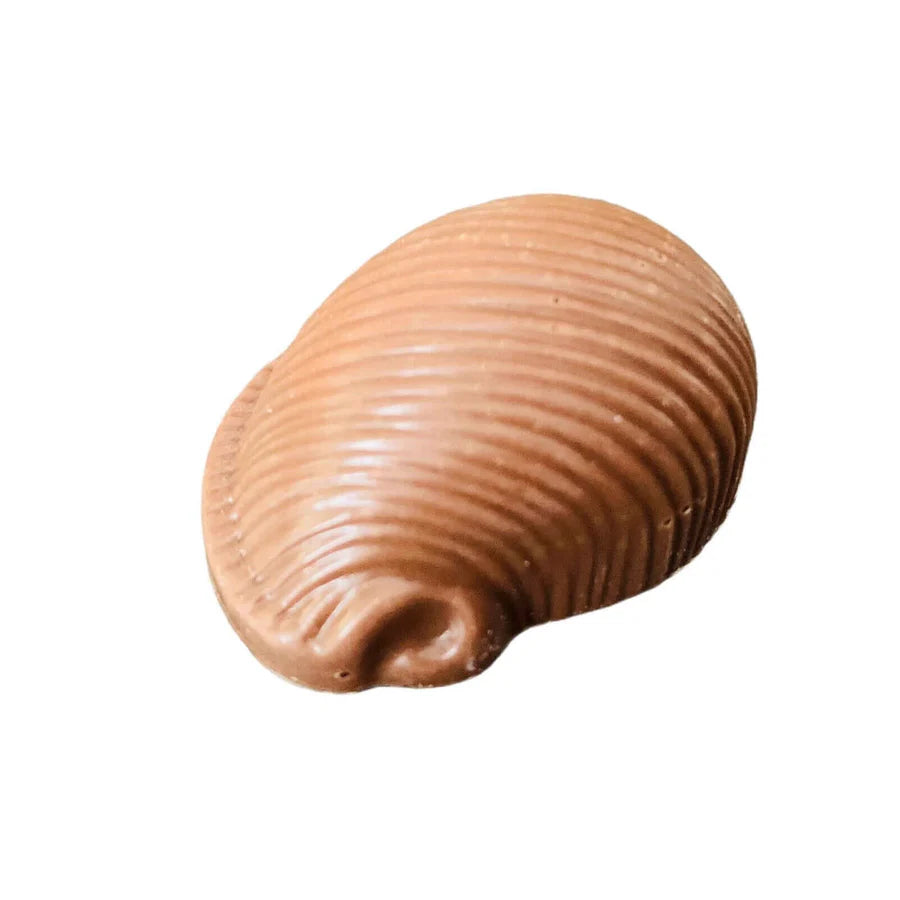 Coquillages en chocolat aux cerises - 18g