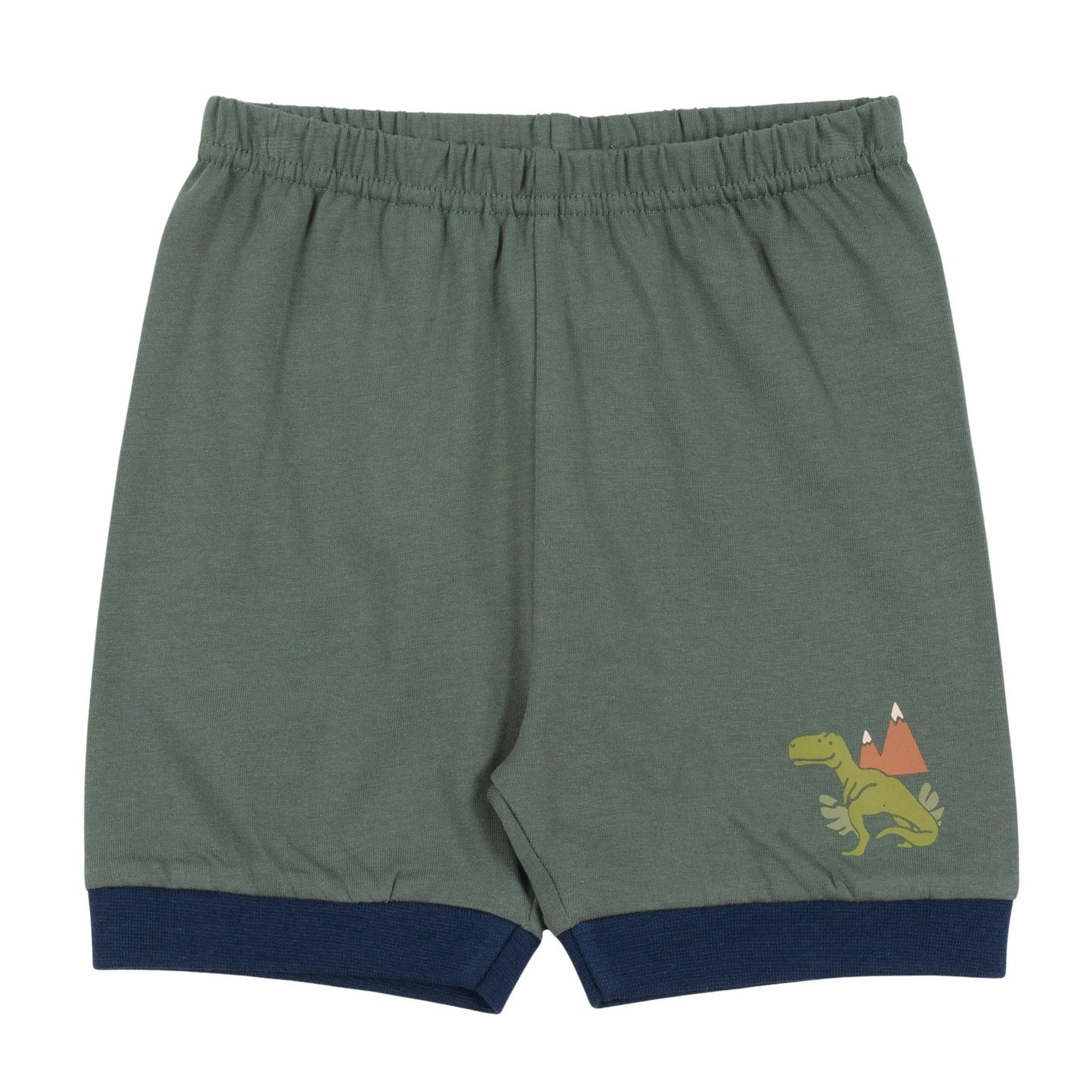 Pyjama 2 pièces - Dinosaures - S25P01 - 12 à 24 mois