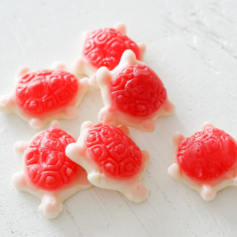 LES TORTUES DE MER - 50g