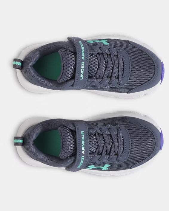 Souliers - Assert 10 AC - Gris/Blanc - 11E à 3J