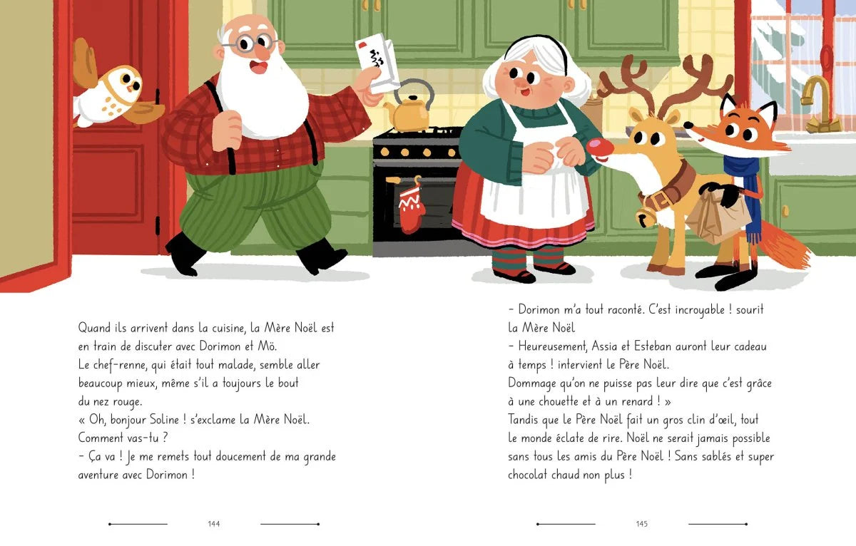 Livre - MON ALBUM DE L'AVENT - LES AVENTURES SECRÈTES DE NOËL