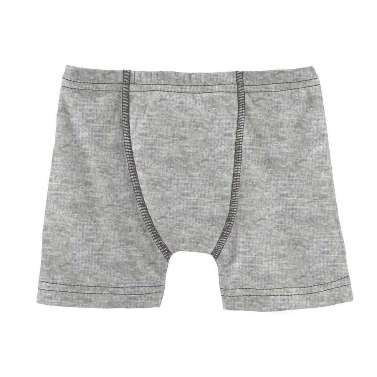 Boxer en viscose de bambou - Gris