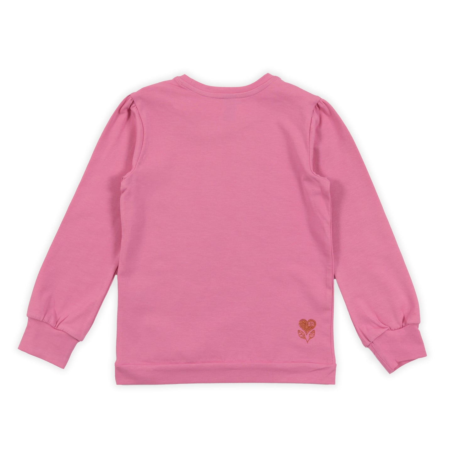 T-shirt Manche Longue Mes Meilleurs Amis F2308-01 2 à 12 ans