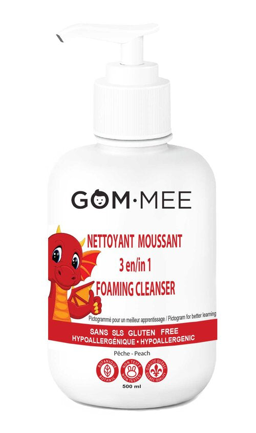 NETTOYANT MOUSSANT 3 EN 1 500ML PICTOGRAMMÉ | GOMMEE DRAGON