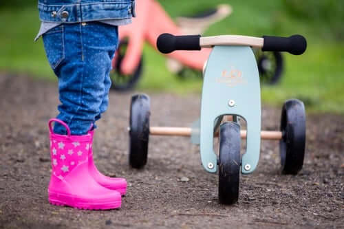2-EN-1 TINY TOT Tricycle & Vélo d'équilibre - Sauge