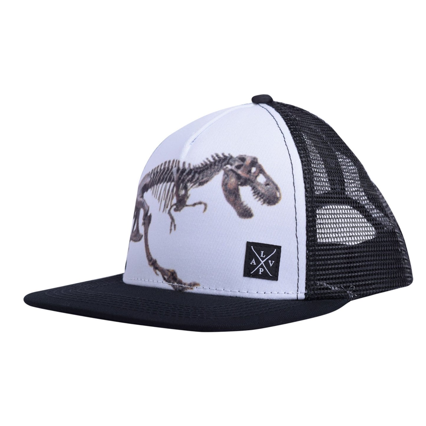Casquette Snapback (Dino)