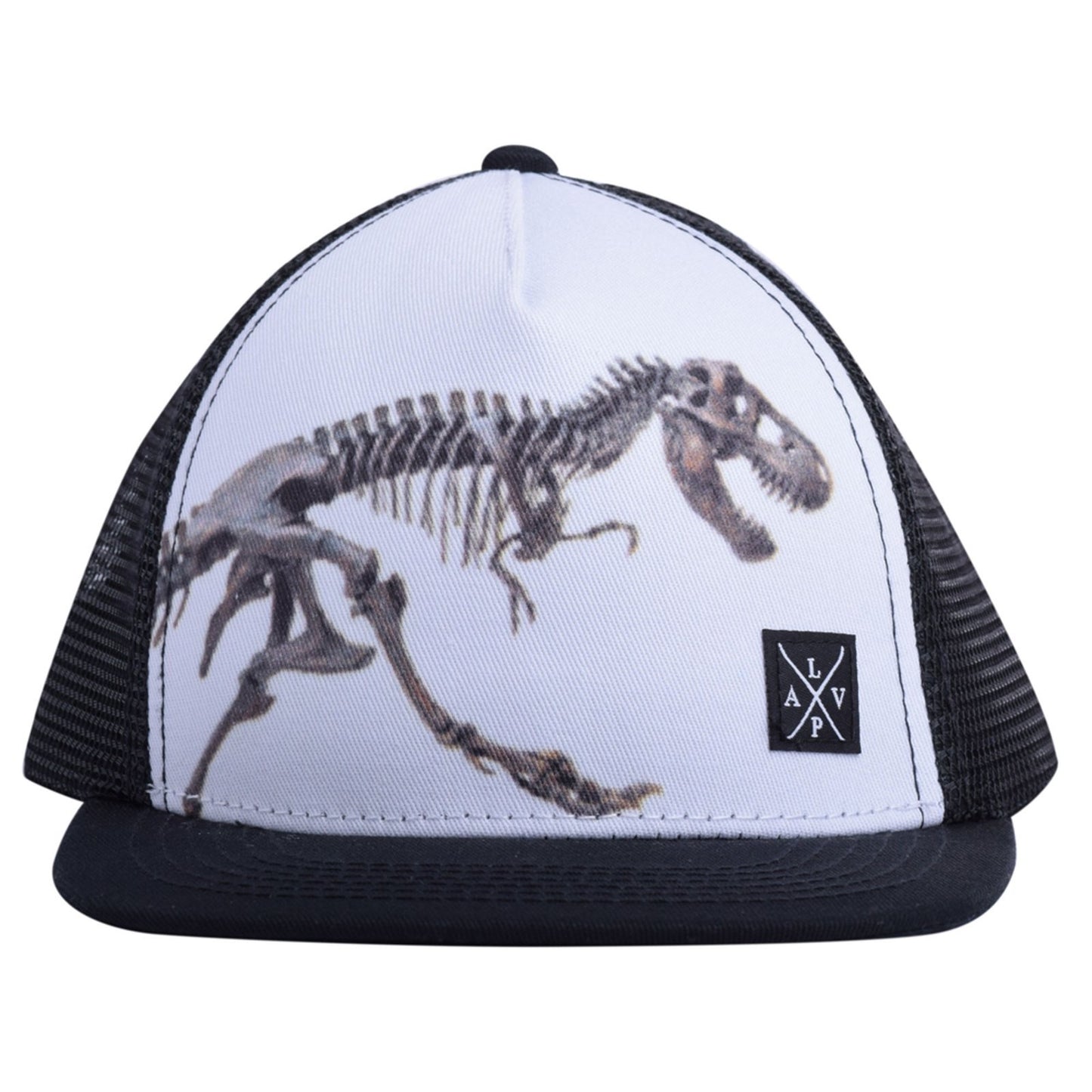 Casquette Snapback (Dino)