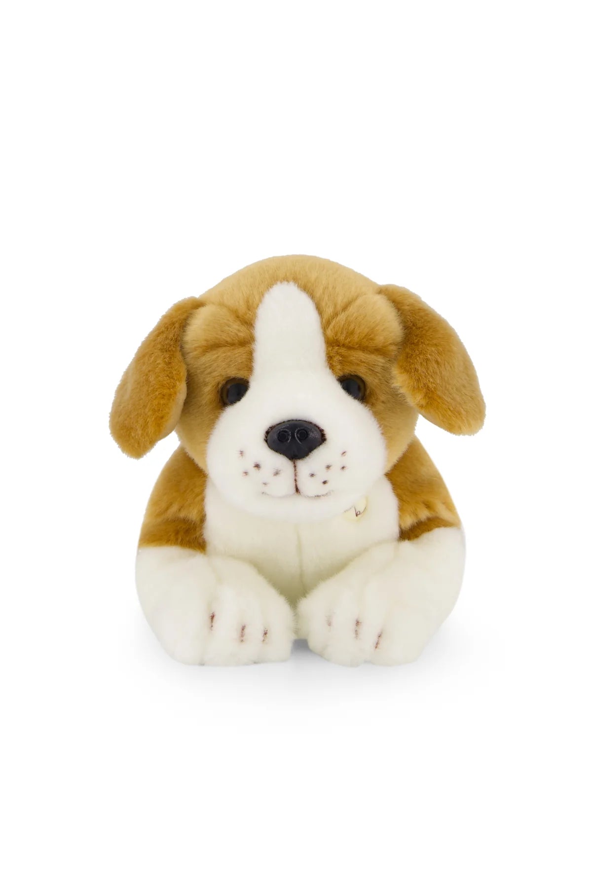 PELUCHE BROOKLYN LE CHIEN BEAGLE