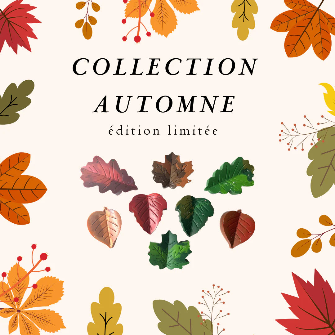 Boîte Thématique - AUTOMNE