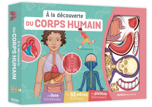 Mon coffret aimanté - À La Découverte Du Corps Humain