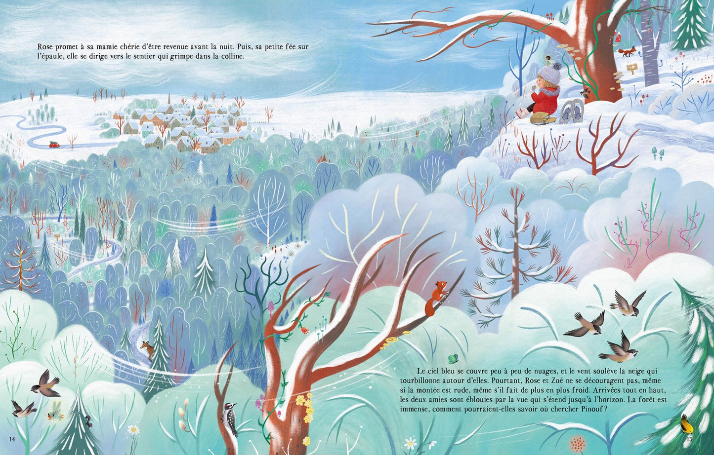 Livre - La petite fée du Père Noël