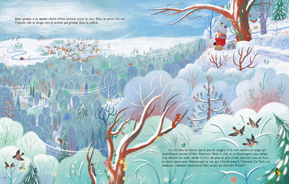 Livre - La petite fée du Père Noël