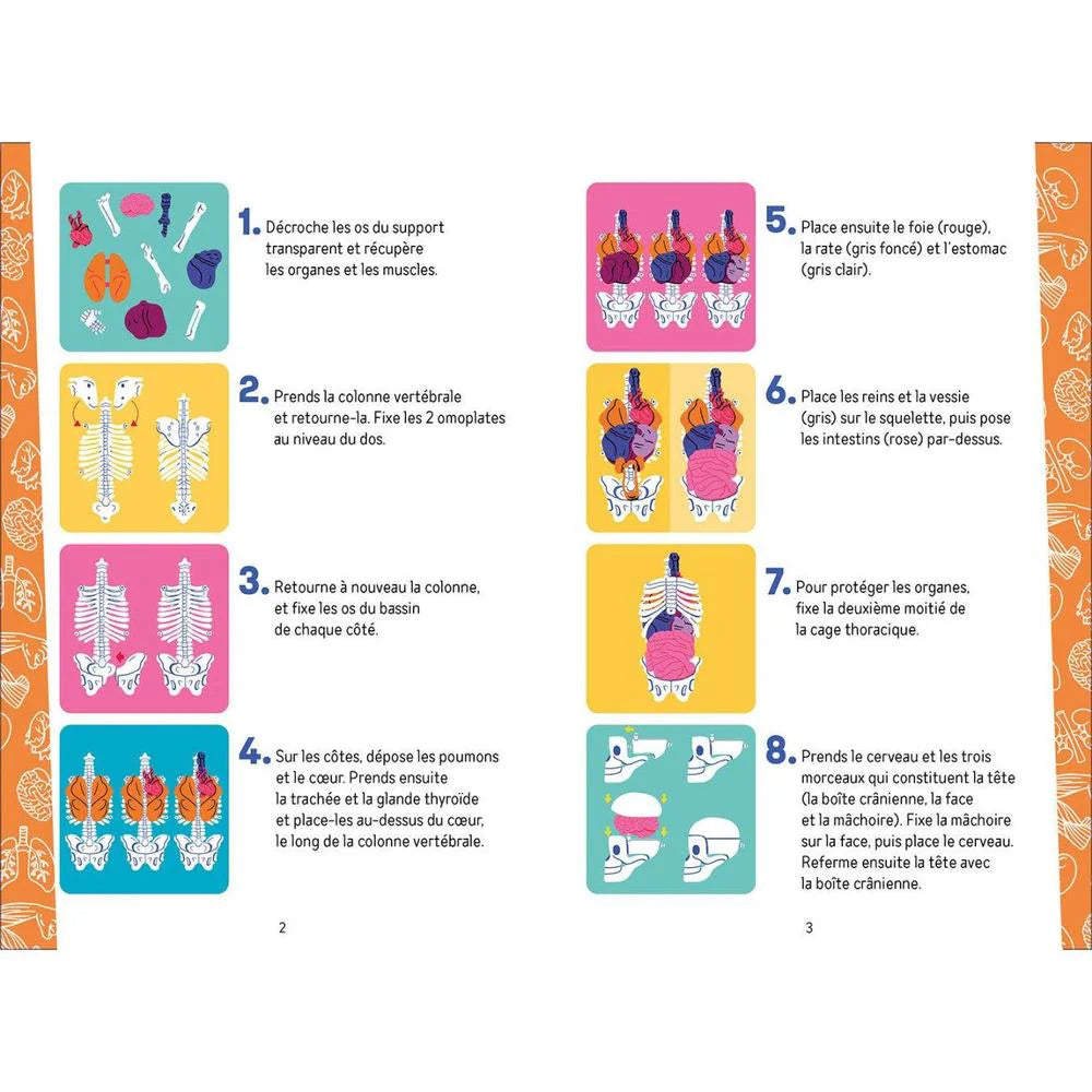 JE DÉCOUVRE LE CORPS HUMAIN