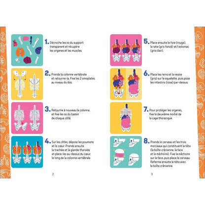 JE DÉCOUVRE LE CORPS HUMAIN