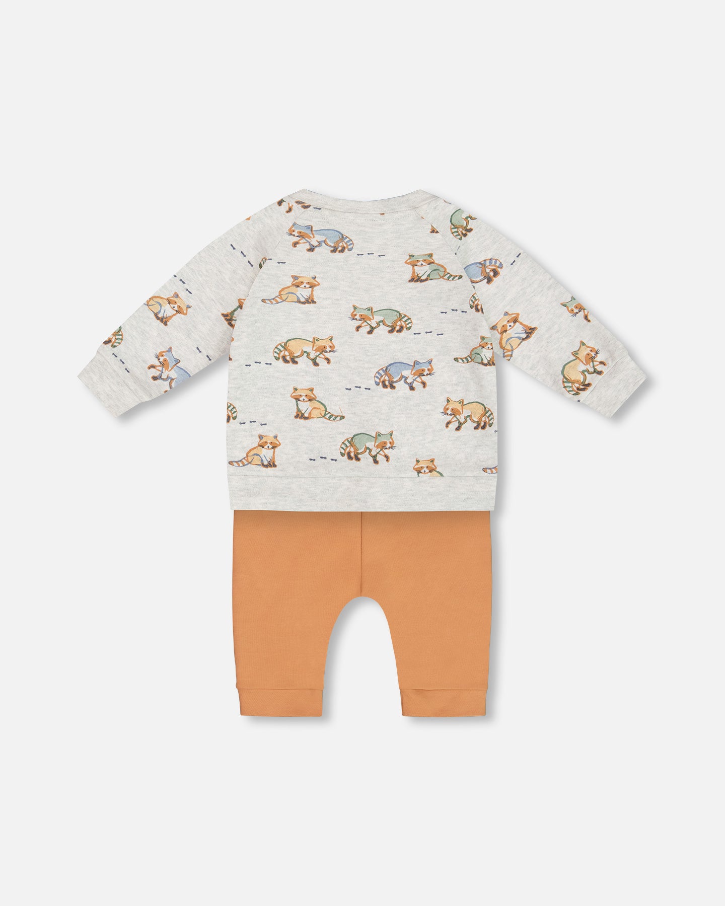 Ensemble chandail et pantalon en coton organique  - Le mignon raton laveur - G20D11-066 - 3 à 24 mois