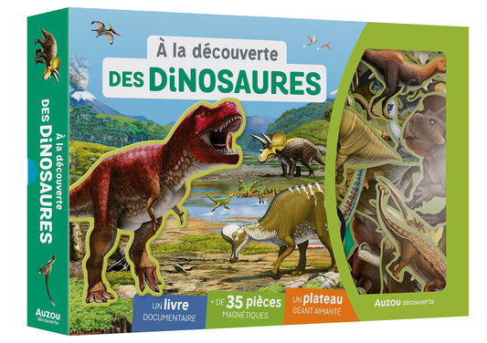 Mon coffret aimanté - À La Découverte des dinosaures