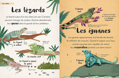 Mon Premier livre Des Animaux