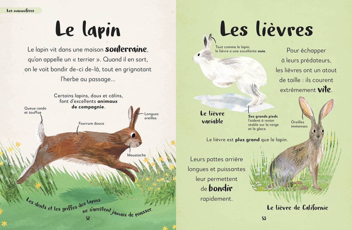 Mon Premier livre Des Animaux