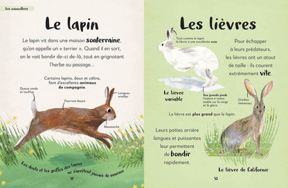Mon Premier livre Des Animaux