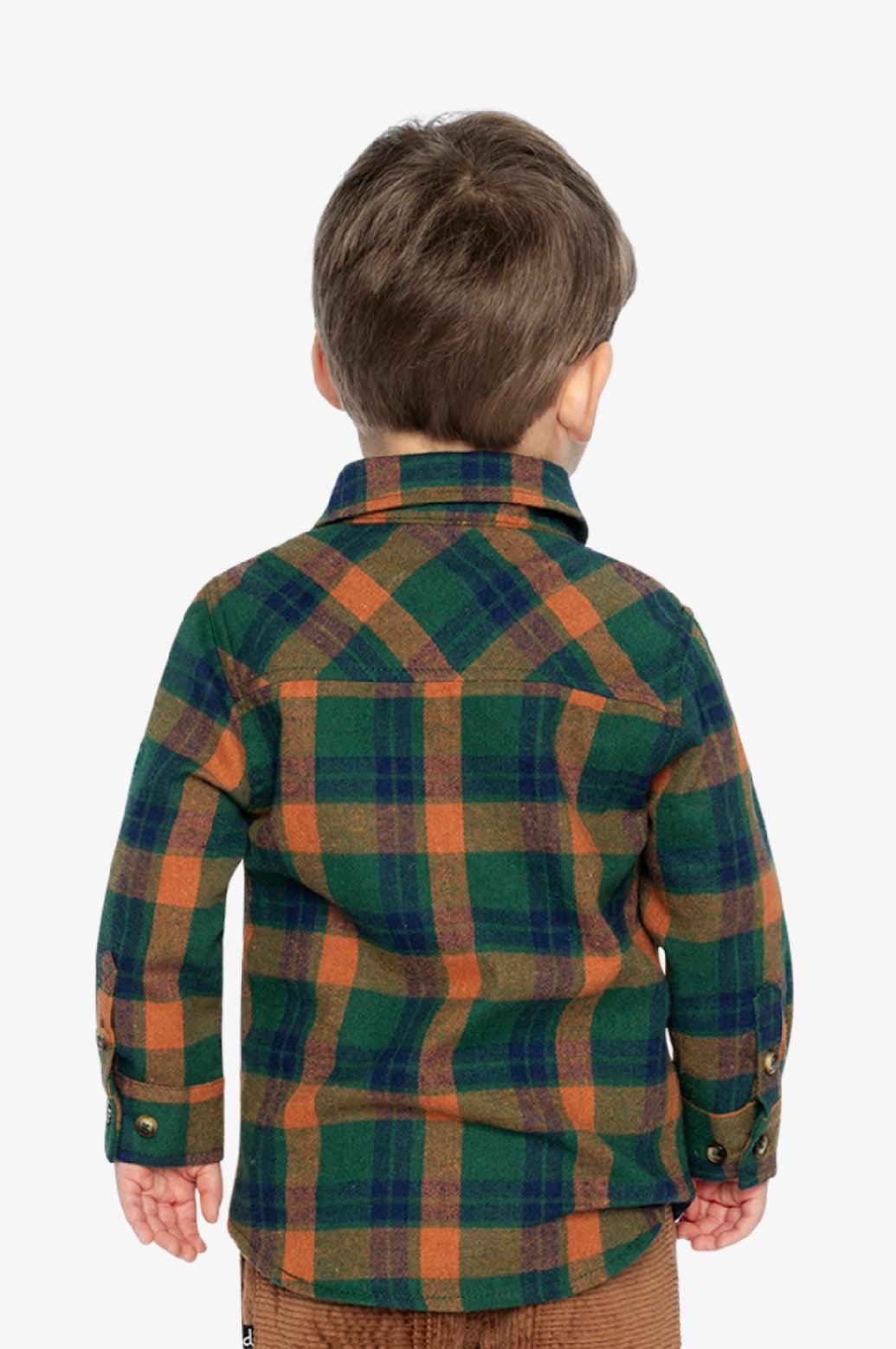 Chemise J20T15-2J264 - Petits fossiles - 2 à 8 ans
