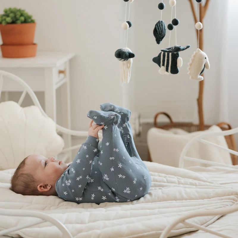 Pyjama en coton organique - Étoile de mer - Nouveau-né à 24 mois