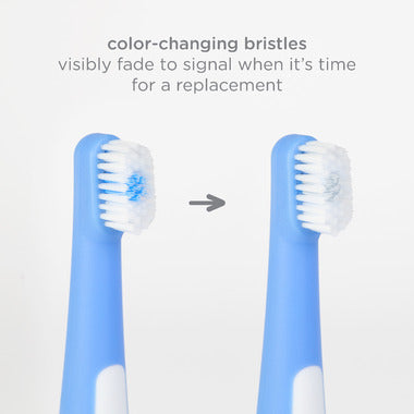 Brosse à dent 3 étapes