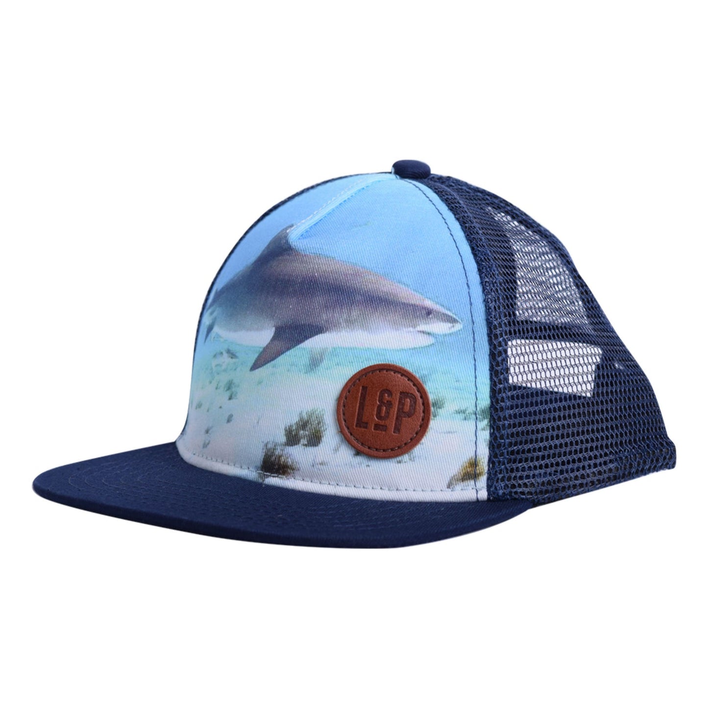 Casquette (Requin) Bleu