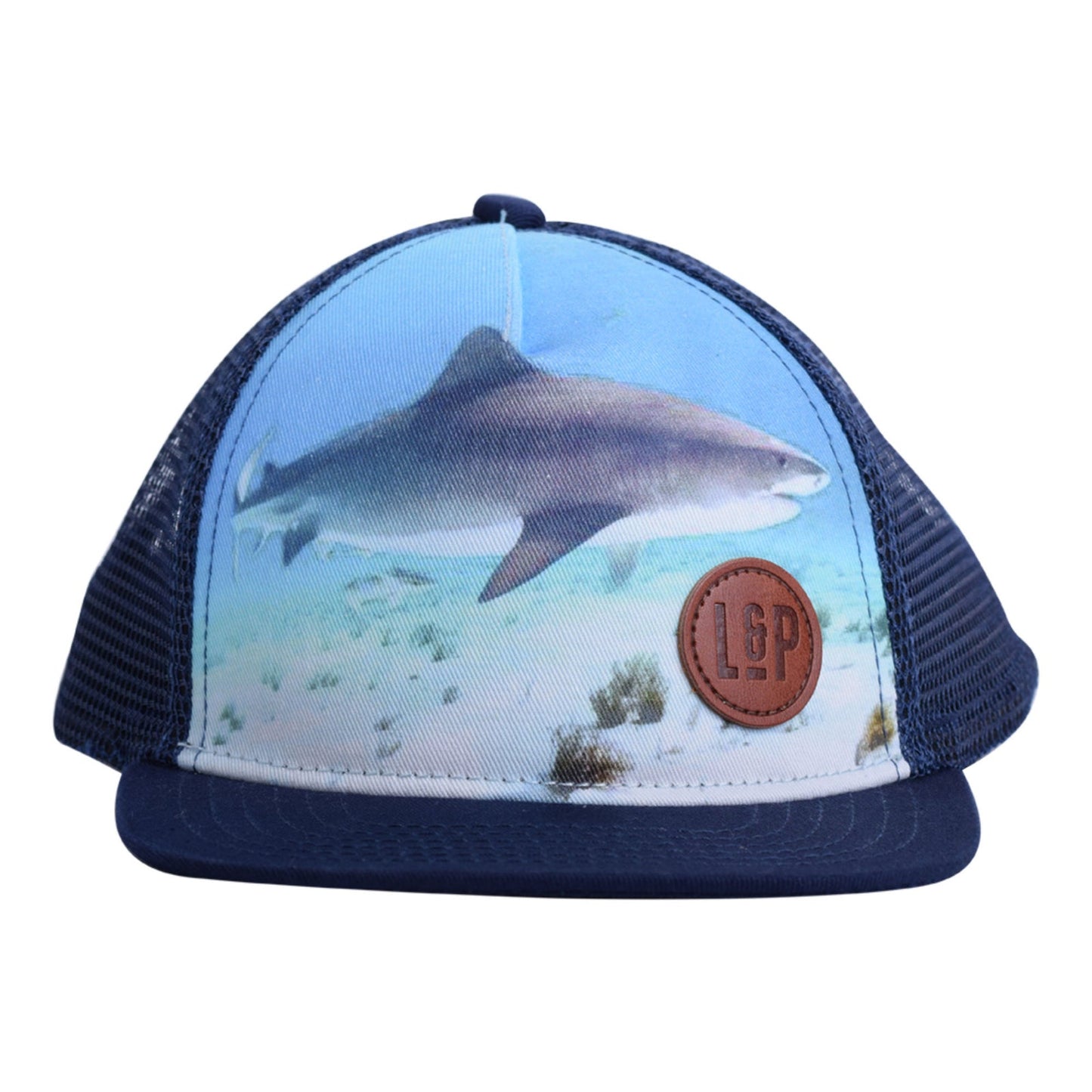 Casquette (Requin) Bleu