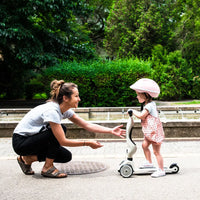 Trottinette 2-en-1 Highwaykick 1, Ash